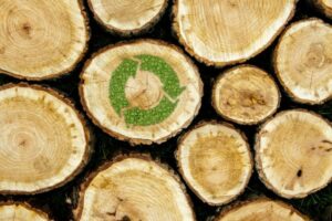 Bæredygtigt FCS træ stablet i naturen
